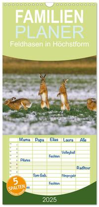 Familienplaner 2025 - Feldhasen in Höchstform mit 5 Spalten (Wandkalender, 21 x 45 cm) CALVENDO
