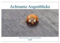Achtsame Augenblicke (Wandkalender 2026 DIN A3 quer), CALVENDO Monatskalender