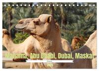 Vorderes Coverbild Orient - Manama, Abu Dhabi, Dubai, Maskat (Tischkalender 2025 DIN A5 quer), CALVENDO Monatskalender