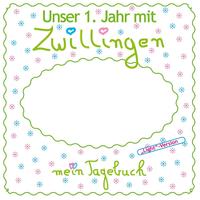Unser 1. Jahr mit Zwillingen - light Version