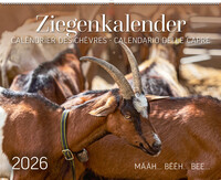 Ziegenkalender / Calendrier des chèvres / Calendario delle capre 2026