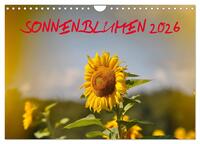 Sonnenblumen 2026 (Wandkalender 2026 DIN A4 quer), CALVENDO Monatskalender