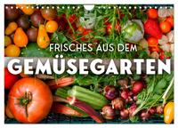 Frisches aus dem Gemüsegarten (Wandkalender 2026 DIN A4 quer), CALVENDO Monatskalender