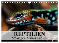 Reptilien Schlangen, Echsen und Co. (Wandkalender 2025 DIN A4 quer), CALVENDO Monatskalender