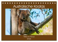 Australische Koalas (Tischkalender 2026 DIN A5 quer), CALVENDO Monatskalender