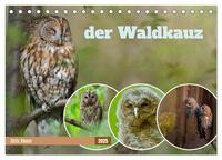 der Waldkauz - Strix Aluco (Tischkalender 2025 DIN A5 quer), CALVENDO Monatskalender