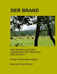 Vorderes Coverbild Der Brand