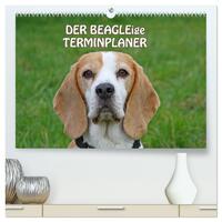 DER BEAGLEige TERMINPLANER (hochwertiger Premium Wandkalender 2025 DIN A2 quer), Kunstdruck in Hochglanz
