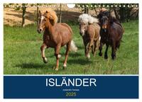 Isländer - icelandic horses (Wandkalender 2025 DIN A4 quer), CALVENDO Monatskalender