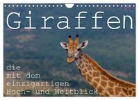 Giraffen - Tiere mit dem einzigartigen Hoch- und Weitblick (Wandkalender 2025 DIN A4 quer), CALVENDO Monatskalender