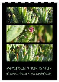 ZAUBERWELT DER BLUMEN - EISKRISTALLE & WASSERPERLEN (Wandkalender 2025 DIN A2 hoch), CALVENDO Monatskalender