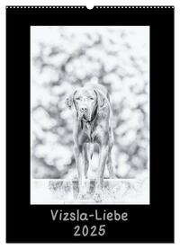 Vizsla-Liebe (Wandkalender 2025 DIN A2 hoch), CALVENDO Monatskalender