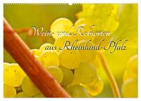Wein- und Rebsorten aus Rheinland-Pfalz (Wandkalender 2026 DIN A2 quer), CALVENDO Monatskalender