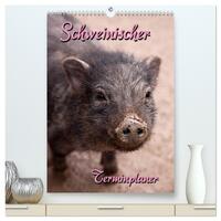 Schweinischer Terminplaner (hochwertiger Premium Wandkalender 2025 DIN A2 hoch), Kunstdruck in Hochglanz