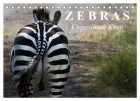 Zebras - Ungezähmte Kraft (Tischkalender 2026 DIN A5 quer), CALVENDO Monatskalender