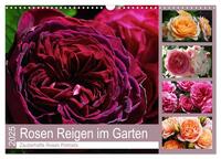 Rosen Reigen im Garten (Wandkalender 2025 DIN A3 quer), CALVENDO Monatskalender