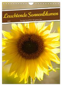 Leuchtende Sonnenblumen, sonnige Aussichten das ganze Jahr (Wandkalender 2025 DIN A4 hoch), CALVENDO Monatskalender