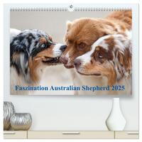 Australian Shepherd 2025 (hochwertiger Premium Wandkalender 2025 DIN A2 quer), Kunstdruck in Hochglanz