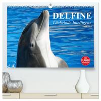 Vorderes Coverbild Delfine - Lächelnde Intelligenz (hochwertiger Premium Wandkalender 2026 DIN A2 quer), Kunstdruck in Hochglanz