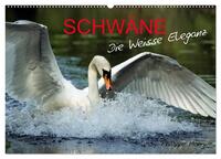 SCHWÄNE. (Wandkalender 2025 DIN A2 quer), CALVENDO Monatskalender