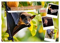 Fledermäuse - kleine Vampire (Wandkalender 2026 DIN A2 quer), CALVENDO Monatskalender