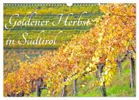 Goldener Herbst in Südtirol (Wandkalender 2026 DIN A3 quer), CALVENDO Monatskalender