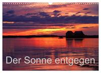 Der Sonne entgegen (Wandkalender 2025 DIN A3 quer), CALVENDO Monatskalender