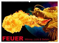Feuer • Wärme, Licht & Gefahr (Wandkalender 2025 DIN A2 quer), CALVENDO Monatskalender