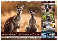 Australiens faszinierende Fauna (Wandkalender 2025 DIN A2 quer), CALVENDO Monatskalender