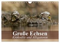 Große Echsen. Krokodile und Alligatoren (Wandkalender 2025 DIN A4 quer), CALVENDO Monatskalender
