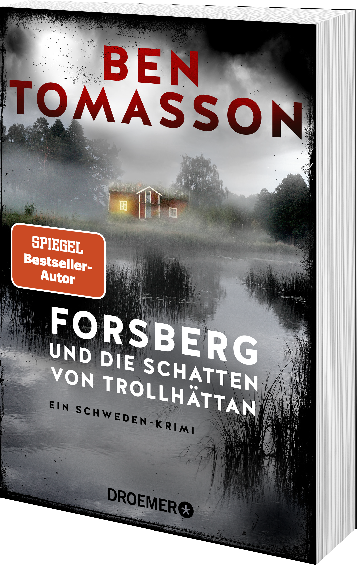 Forsberg und die Schatten von Trollhättan