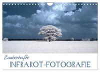 Zauberhafte Infrarot-Fotografie (Wandkalender 2025 DIN A4 quer), CALVENDO Monatskalender