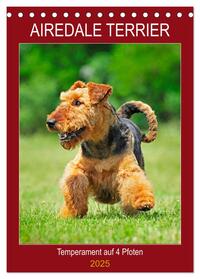 Airedale Terrier - Temperament auf 4 Pfoten (Tischkalender 2025 DIN A5 hoch), CALVENDO Monatskalender