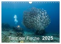 Tanz der Fische (Wandkalender 2025 DIN A4 quer), CALVENDO Monatskalender