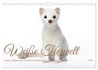 Weiße Tierwelt (Wandkalender 2025 DIN A4 quer), CALVENDO Monatskalender