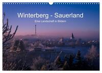 Winterberg - Sauerland - Eine Landschaft in Bildern (Wandkalender 2025 DIN A3 quer), CALVENDO Monatskalender