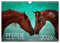 Pferde - Magdalena Strakova (Wandkalender 2026 DIN A4 quer), CALVENDO Monatskalender