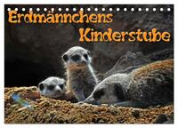 Erdmännchens Kinderstube (Tischkalender 2025 DIN A5 quer), CALVENDO Monatskalender