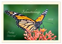 Wunderwelt der Schmetterlinge 2025 Prächtige Sommervögel (Wandkalender 2025 DIN A2 quer), CALVENDO Monatskalender
