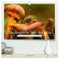 Die magische Welt der Pilze (hochwertiger Premium Wandkalender 2025 DIN A2 quer), Kunstdruck in Hochglanz