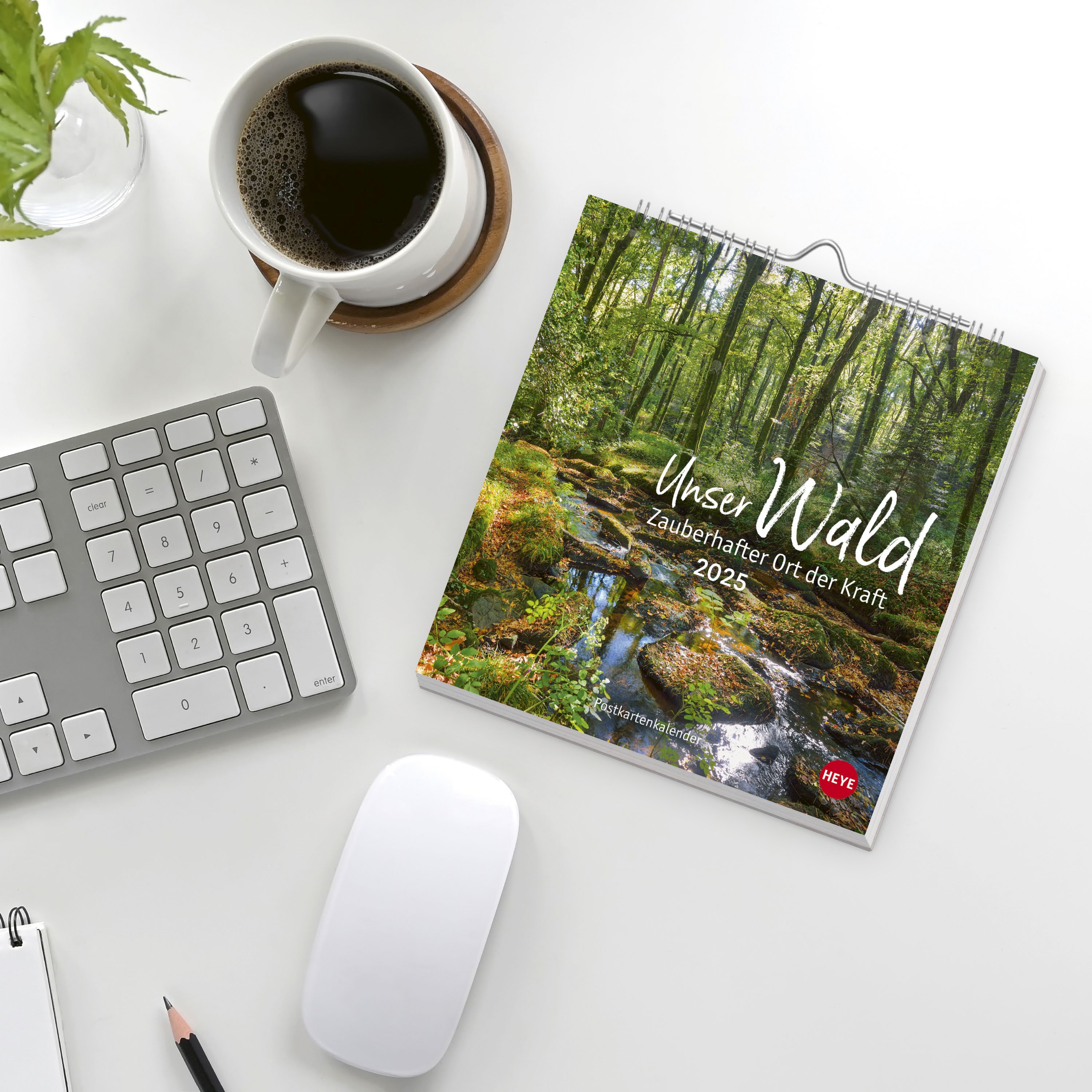 Unser Wald Postkartenkalender 2025 - zauberhafter Ort der Kraft