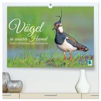 Vögel in unserer Heimat: Kiebitz, Wiedehopf und Turteltaube (hochwertiger Premium Wandkalender 2026 DIN A2 quer), Kunstdruck in Hochglanz
