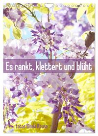 Es rankt, klettert und blüht (Wandkalender 2026 DIN A4 hoch), CALVENDO Monatskalender