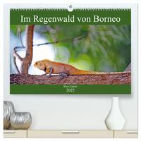 Im Regenwald von Borneo (hochwertiger Premium Wandkalender 2025 DIN A2 quer), Kunstdruck in Hochglanz