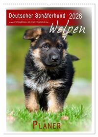 Deutscher Schäferhund - Welpen, Planer (Wandkalender 2026 DIN A2 hoch), CALVENDO Monatskalender