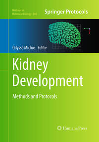 Kidney Development