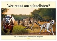 Wer rennt am schnellsten? (Wandkalender 2025 DIN A3 quer), CALVENDO Monatskalender
