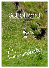 Schottland für Naturliebhaber (Wandkalender 2026 DIN A2 hoch), CALVENDO Monatskalender
