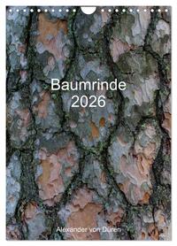 Baumrinde 2026 (Wandkalender 2026 DIN A4 hoch), CALVENDO Monatskalender