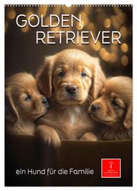Golden Retriever - ein Hund für die Familie (Wandkalender 2026 DIN A2 hoch), CALVENDO Monatskalender